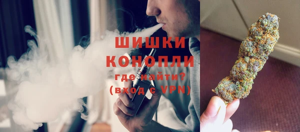 прущие грибы Алзамай