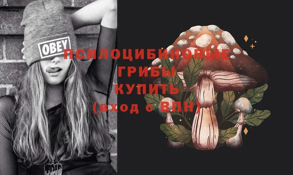 мет Аркадак