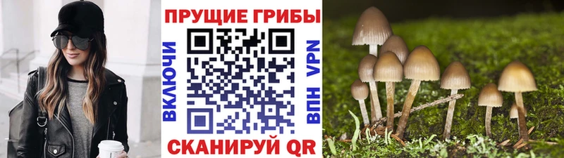 Псилоцибиновые грибы Magic Shrooms Краснотурьинск